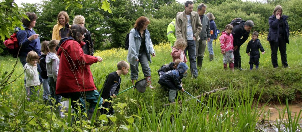 A group of adults and children explore a grassy pond area, some using nets to look in the water.