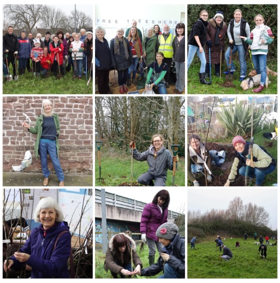 Collage of people outdoors planting trees, smiling and working together in a grassy, rural area.