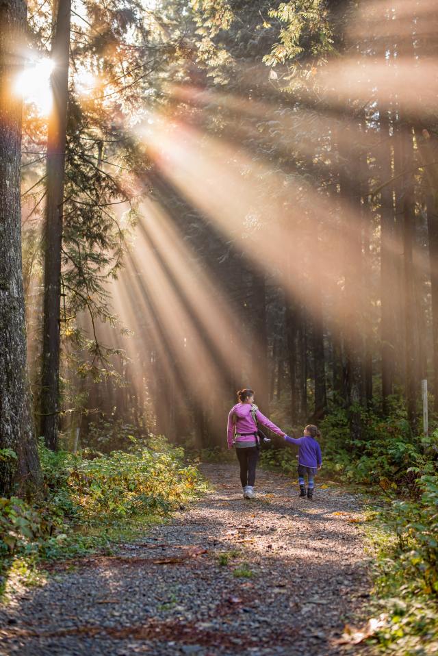 Woman and child holding hands walk down a forest path with sunlight streaming through the trees.