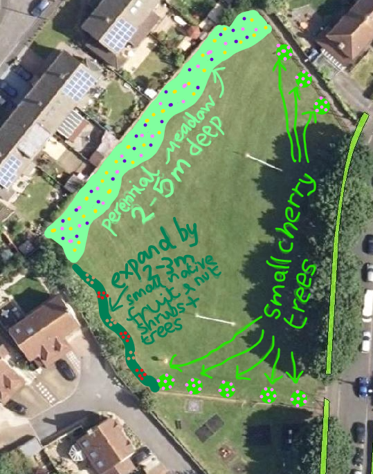 Aerial view of a grassy area with notes about expanding meadows and adding small cherry trees along the edges.